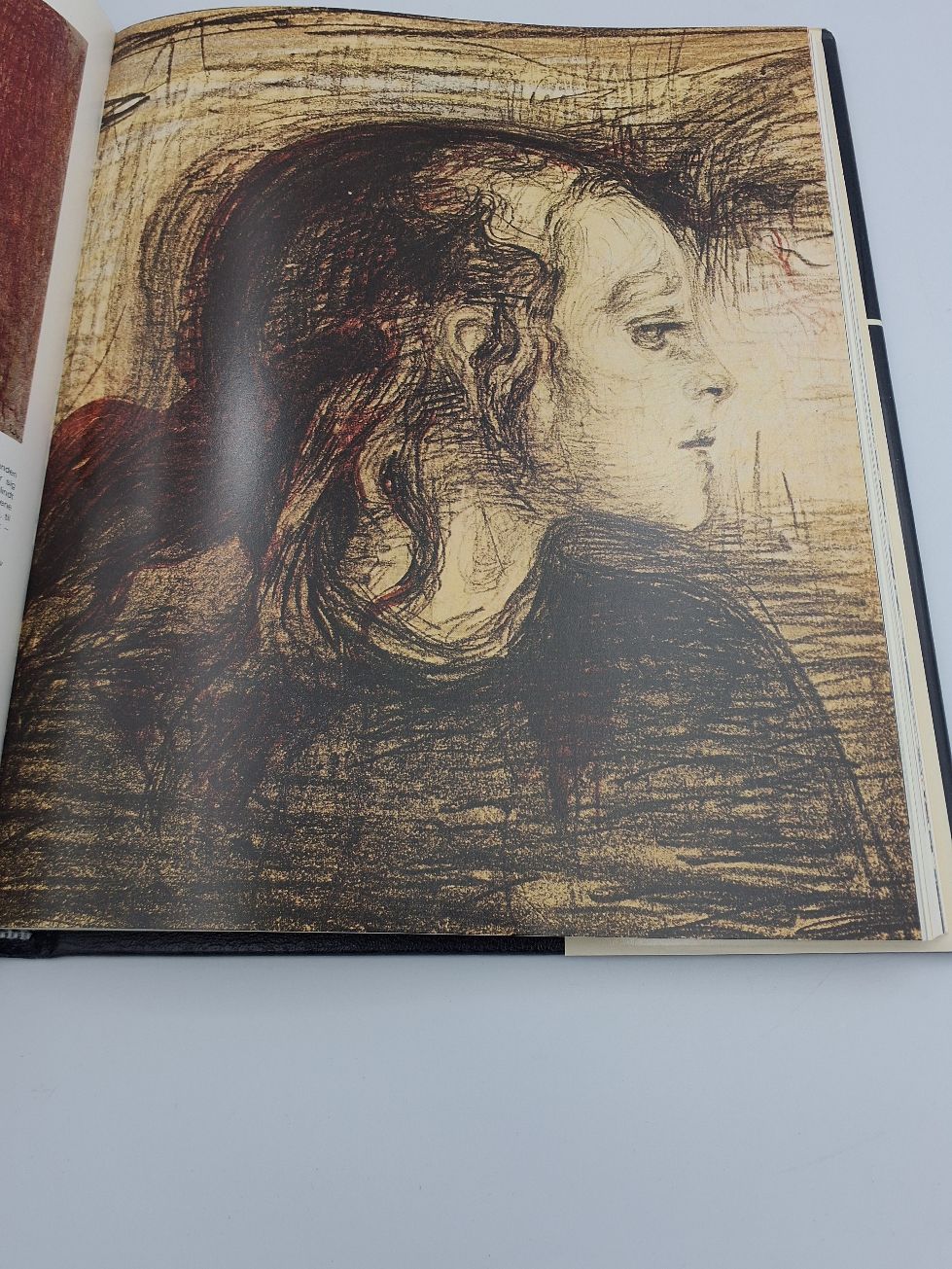 Bog: Edvard Munch